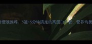 健康家常便饭推荐5道15分钟搞定的高蛋白午餐营养均衡又解馋