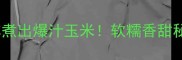 手把手教你煮出爆汁玉米软糯香甜秘诀大公开