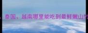 山竹必吃榜单TOP10海南泰国越南哪里能吃到最鲜嫩山竹附产地攻略与选购秘籍