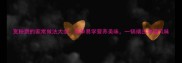 宽粉煲的家常做法大全简单易学营养美味一锅端出地道风味