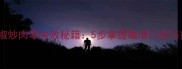 家庭版青椒炒肉零失败秘籍5步掌握嫩滑口感与黄金火候