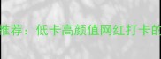 豆乳盒子必吃推荐低卡高颜值网红打卡的正确打开方式