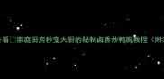 零失败新手必看家庭厨房秒变大厨的秘制卤香炒鸭胸教程附3种懒人吃法
