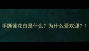手撕莲花白是什么为什么受欢迎