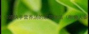 懒人必看10道快手营养汤的家常做法附懒人备菜清单