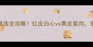人参果颜色挑选全攻略红皮白心vs黄皮紫肉营养和口感大