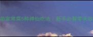 野蒜苗家常菜5种神仙吃法新手必看零失败教程