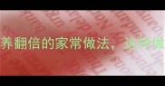 豆芽煮汤的10种神仙搭配营养翻倍的家常做法这样做汤鲜香又健康附详细步骤