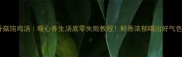香菇饨鸡汤暖心养生汤底零失败教程鲜香浓郁喝出好气色