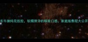 广东牛腩炖花胶胶软糯弹牙的极致口感家庭版教程大公开