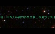 低GI莜麦饺子零失败教程山西人私藏的养生主食莜麦饺子低卡高纤维新手包饺子攻略