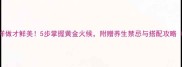 清炖鳗鱼汤这样做才鲜美5步掌握黄金火候附赠养生禁忌与搭配攻略附详细配方