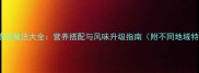 家常牛肉浓汤做法大全营养搭配与风味升级指南附不同地域特色做法