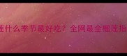 榴莲什么季节最好吃全网最全榴莲指南