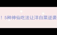 新手必看5种神仙吃法让洋白菜逆袭餐桌C位