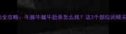 炖牛肉选肉全攻略牛腩牛腱牛肋条怎么挑这3个部位闭眼买不踩雷