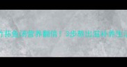竹荪鱼汤营养翻倍3步熬出滋补养生汤