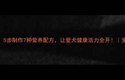 鸡肝狗粮DIY全攻略5步制作7种营养配方让爱犬健康活力全开宠物营养师认证食谱
