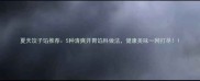 夏天饺子馅推荐5种清爽开胃馅料做法健康美味一网打尽