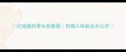 红烧猪肉零失败教程软糯入味秘诀大公开