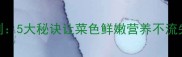 青菜炒制黄金法则5大秘诀让菜色鲜嫩营养不流失家常做法详解