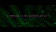绿豆烧的家常做法与技巧软糯香甜的秘诀全公开