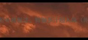虾不新鲜了别扔3种高阶补救做法鲜嫩多汁超入味附不新鲜虾处理全攻略