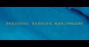 银鳕鱼的家常做法低脂高蛋白食谱鲜嫩滑口5种做法详解