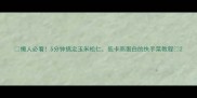 懒人必看5分钟搞定玉米松仁低卡高蛋白的快手菜教程