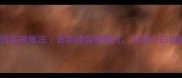 小炒鸭肉零失败家常做法香到舔盘的秘方厨房小白也能秒变大厨