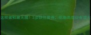 黄鳝这样做鲜嫩无腥3步锁住营养低脂高蛋白食谱大公开
