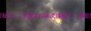 爆款臊子面秘方3步搞定川味灵魂臊子搭配技巧大公开