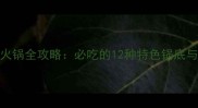 贵州家常火锅全攻略必吃的12种特色锅底与搭配指南