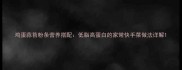 鸡蛋蒜苔粉条营养搭配低脂高蛋白的家常快手菜做法详解
