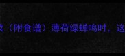 30道夏季养生家常菜附食谱薄荷绿蝉鸣时这样吃才养出好气色
