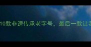 全国馅饼必吃榜10款非遗传承老字号最后一款让我连吃三天不腻