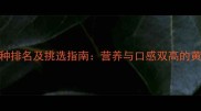 榴莲品种排名及挑选指南营养与口感双高的黄金选择