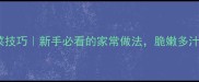 青瓜炒菜技巧新手必看的家常做法脆嫩多汁这样做