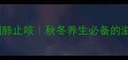 川贝炖蛇胆润肺止咳秋冬养生必备的滋补汤品教程