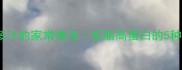 大贝壳鲜嫩多汁的家常做法低脂高蛋白的5种神仙吃法