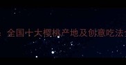 樱桃美食地图全国十大樱桃产地及创意吃法全附食谱