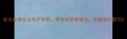 东北经典毛头丸子炖菜零失败家常做法软嫩多汁配方