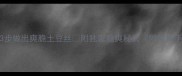 零失败3步做出爽脆土豆丝附独家脆爽秘诀附赠新手避坑指南