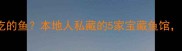 杭州哪里能吃到好吃的鱼本地人私藏的5家宝藏鱼馆附独家吃法攻略