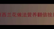 宝宝辅食零失败5种创意西兰花做法营养翻倍按月龄搭配食谱附烹饪技巧