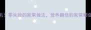 鲫鱼汤这样做鲜到掉眉毛零失败的家常做法营养翻倍的家常鲫鱼汤教程附详细步骤
