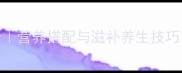 羊排山药的家常做法大全营养搭配与滋补养生技巧附详细步骤与食材清单