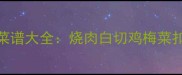 广东经典猪肉菜谱大全烧肉白切鸡梅菜扣肉秘方大公开