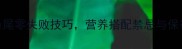 家庭秘方蒸鱼尾零失败技巧营养搭配禁忌与保存方法全攻略