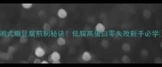 湘式嫩豆腐煎制秘诀低脂高蛋白零失败新手必学